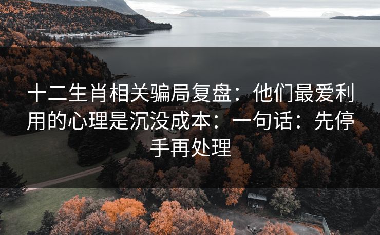 十二生肖相关骗局复盘：他们最爱利用的心理是沉没成本：一句话：先停手再处理