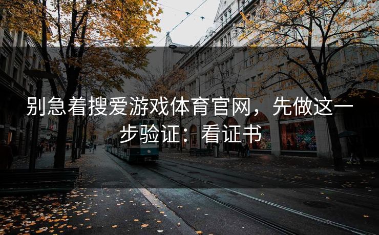 别急着搜爱游戏体育官网，先做这一步验证：看证书
