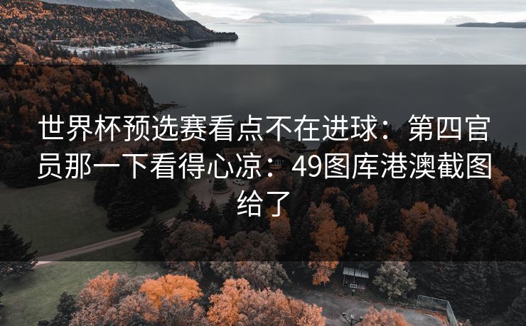 世界杯预选赛看点不在进球：第四官员那一下看得心凉：49图库港澳截图给了