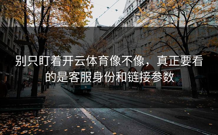 别只盯着开云体育像不像，真正要看的是客服身份和链接参数