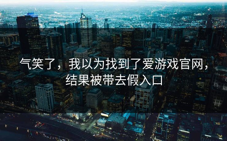 气笑了，我以为找到了爱游戏官网，结果被带去假入口